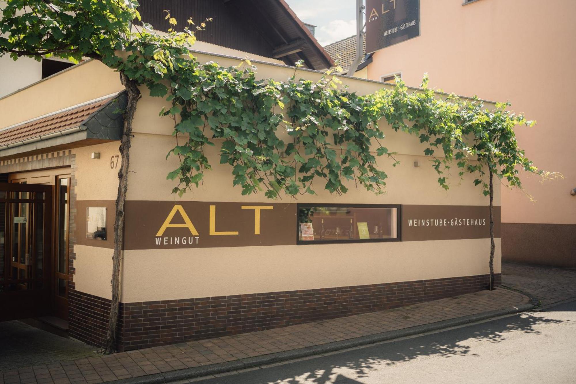 Weingut Und Gaestehaus Holger Alt Monzingen 外观 照片