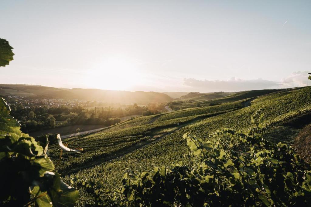 Weingut Und Gaestehaus Holger Alt Monzingen 外观 照片