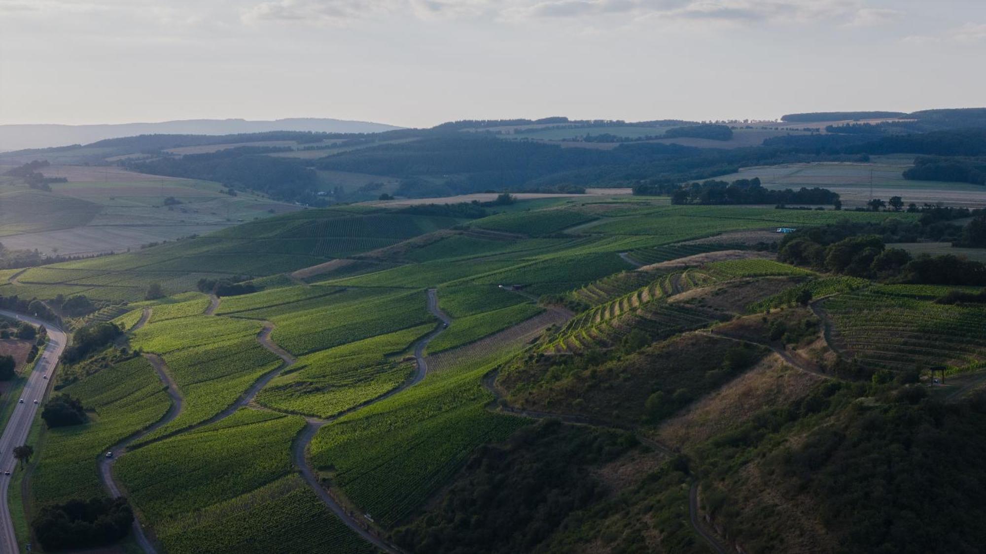 Weingut Und Gaestehaus Holger Alt Monzingen 外观 照片